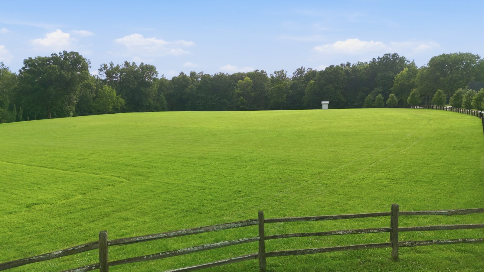 Fence line along the open pasture with wooded acreage beyond