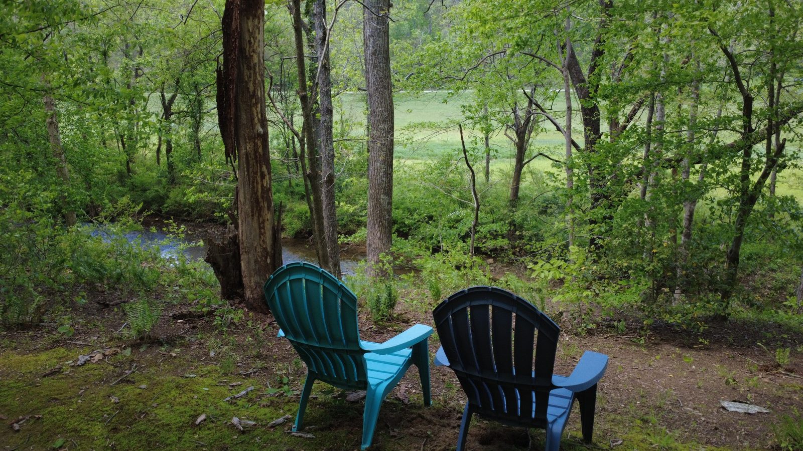 Two Adirondack chairs set above the creek in the shaded woods