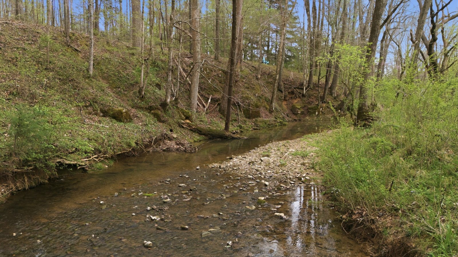 The East Piney creek running clear over a gravel bar through the woods