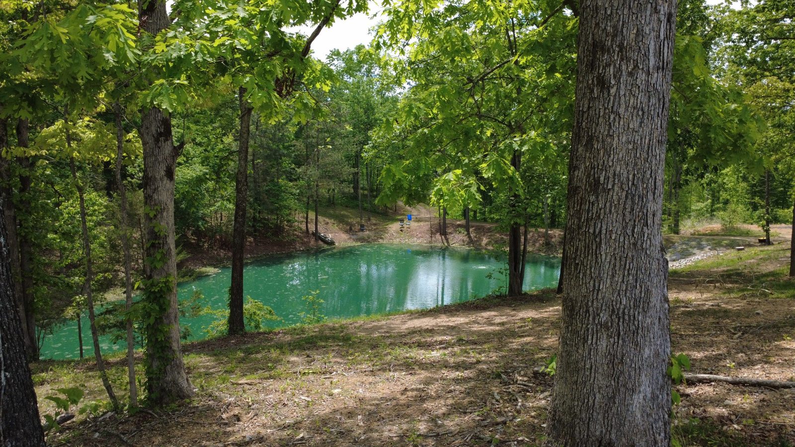 The stocked pond mirroring the trees across the estate's wooded acreage